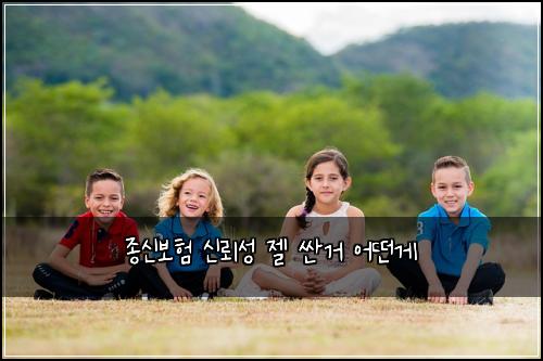 종신보험 신뢰성  젤 싼거 어떤게