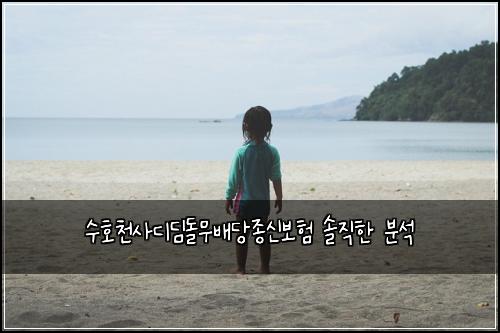 수호천사디딤돌무배당종신보험 솔직한 분석