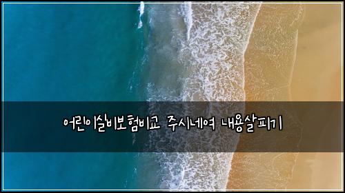 어린이실비보험비교 주시네여 내용살피기