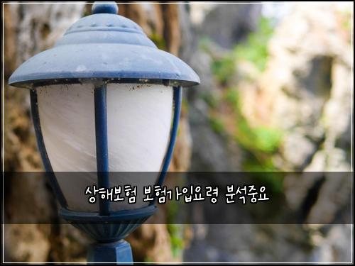 ์ํด๋ณดํ ๋ณดํ๊ฐ์
์๋ น ๋ถ์์ค์