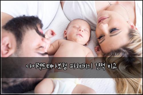 ๋ค์ด๋ ํธํ์๋ณดํ ํํ์น๊ธฐ ๊ฒฌ์ ๋น๊ต