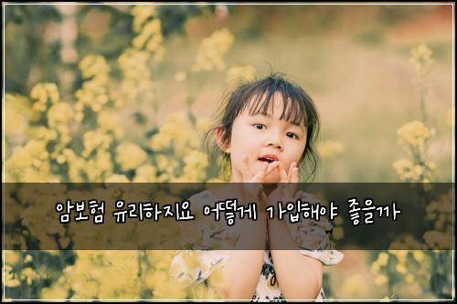 암보험 유리하지요  어떻게 가입해야 좋을까