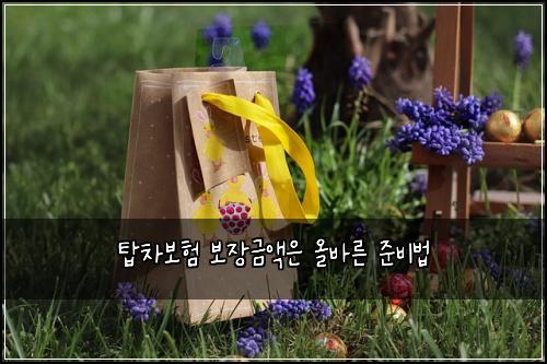 탑차보험 보장금액은  올바른 준비법