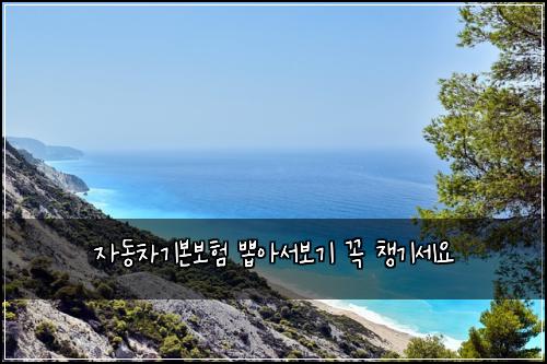 자동차기본보험 뽑아서보기  꼭 챙기세요
