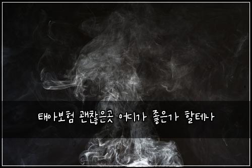 ํ์๋ณดํ ๊ด์ฐฎ์๊ณณ ์ด๋๊ฐ ์ข์๊ฐ ํ ํ
๋