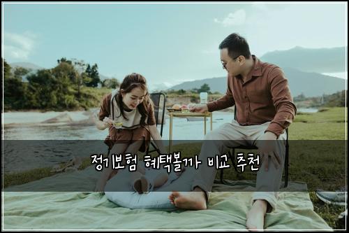정기보험 혜택볼까  비교 추천