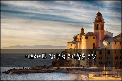 λ©νΈλΌμ΄ν μ 기보ν 체ν¬νμ© λ³΄μ₯