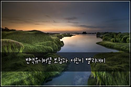 변액유니버셜 보험과 어린이 빨리대비