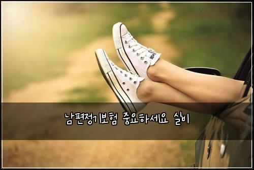 남편정기보험 중요하세요  실비