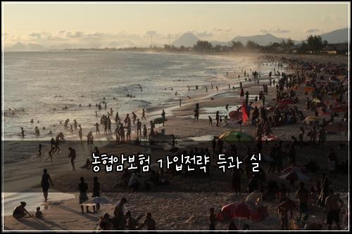 농협암보험 가입전략  득과 실