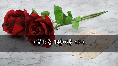 ์ด์ค๋น๋ณดํ ํด๋ณผ๊น์ฉ ์๋
