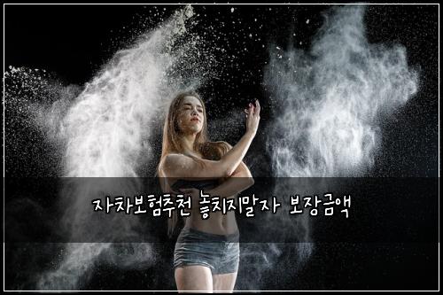 자차보험추천 놓치지말자 보장금액
