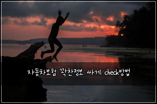 자동차보험 꽉찬정보  싸게 check방법