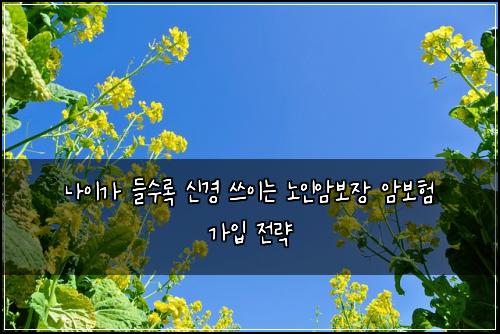 나이가 들수록 신경 쓰이는 노인암보장 암보험 가입 전략