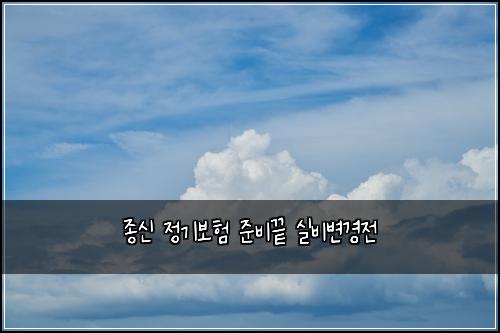 종신 정기보험 준비끝  실비변경전
