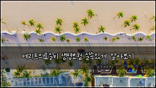 메리츠의료실비 생명보험 실속있게 알아보기