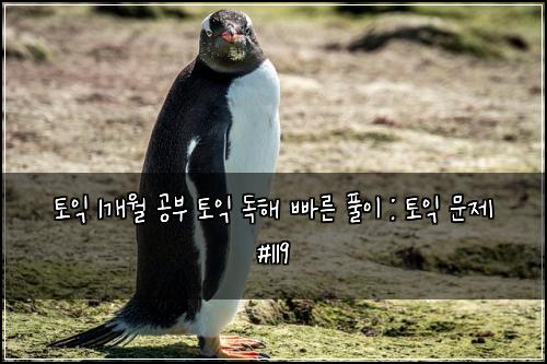 토익 1개월 공부 토익 독해 빠른 풀이 : 토익 문제 #119