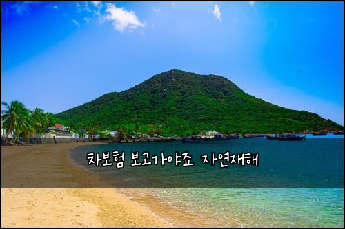 차보험 보고가야죠  자연재해