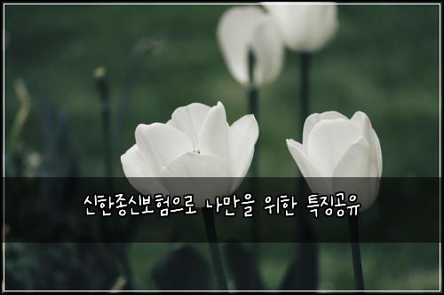 신한종신보험으로 나만을 위한 특징공유