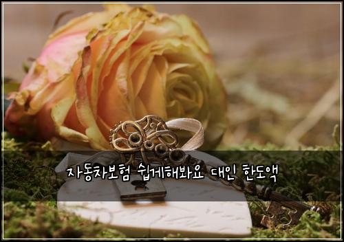 자동차보험 쉽게해봐요  대인 한도액