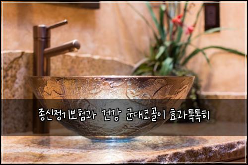 종신정기보험과 건강 군대코골이 효과톡톡히