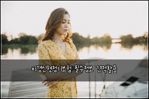 비갱신형정기보험 필수정보  견적활용