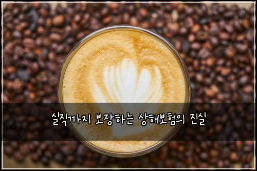 실직까지 보장하는 상해보험의 진실