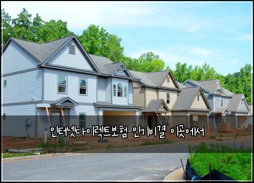 인터넷다이렉트보험 인기비결  이곳에서