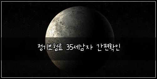 정기보험료 35세남자 간편확인