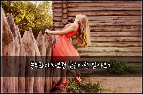 동부화재차보험 좋은마련  받아보기
