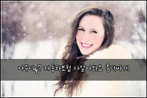아우디q7 자동차보험 다알아봐요  좀더싸게