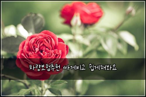 차량보험추천 싸게비교 쉽게해봐요