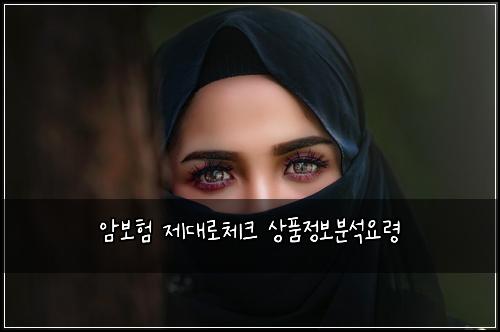 ์๋ณดํ ์ ๋๋ก์ฒดํฌ ์ํ์ ๋ณด๋ถ์์๋ น