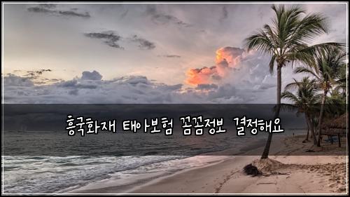 흥국화재 태아보험 꼼꼼정보  결정해요