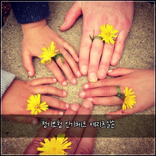 정기보험 인기체크  메리츠실손