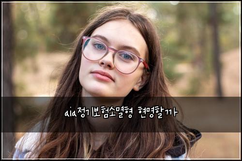aia정기보험소멸형 현명할까