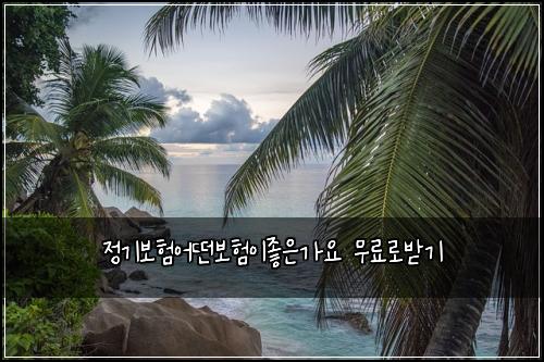 정기보험어떤보험이좋은가요 무료로받기