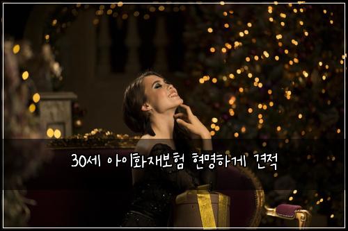 30세 아이화재보험 현명하게  견적