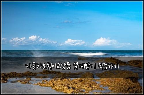 자동차보험비교상품 설계받기 직접하기