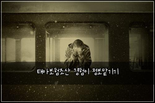 ํ์๋ณดํ์กฐ์ฐ ๊ฒฝํ์ด ์ ๋ณด๋งก๊ธฐ๊ธฐ