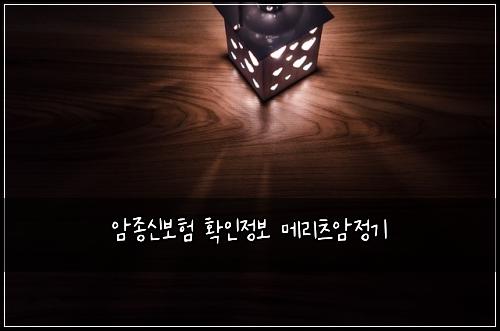 암종신보험 확인정보  메리츠암정기