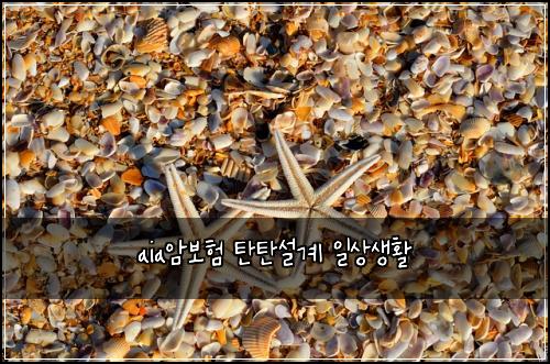 aia암보험 탄탄설계  일상생활
