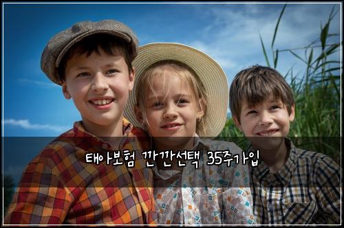 태아보험 깐깐선택  35주가입