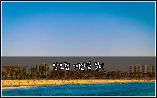 암보험 계산끝  실비