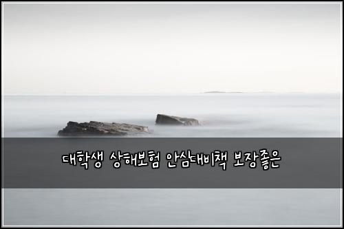 대학생 상해보험 안심대비책  보장좋은