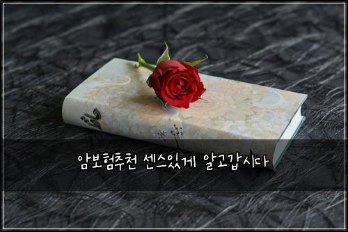 μ보νμΆμ² μΌμ€μκ² μκ³ κ°μλ€
