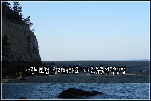 어린이보험 정리해봐요  자료유출선택방법