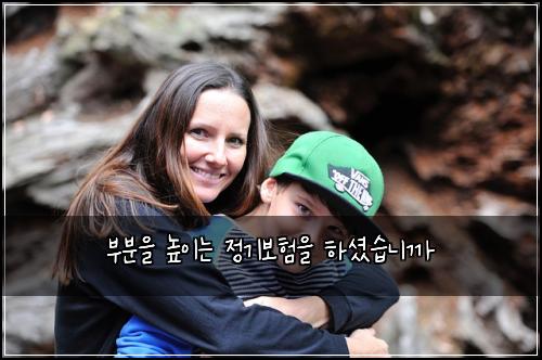 부분을 높이는 정기보험을 하셨습니까