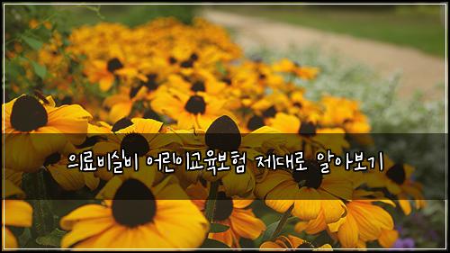 의료비실비 어린이교육보험 제대로 알아보기