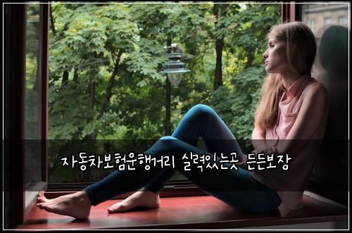 ์๋์ฐจ๋ณดํ์ดํ๊ฑฐ๋ฆฌ ์ค๋ ฅ์๋๊ณณ ๋ ๋ ๋ณด์ฅ